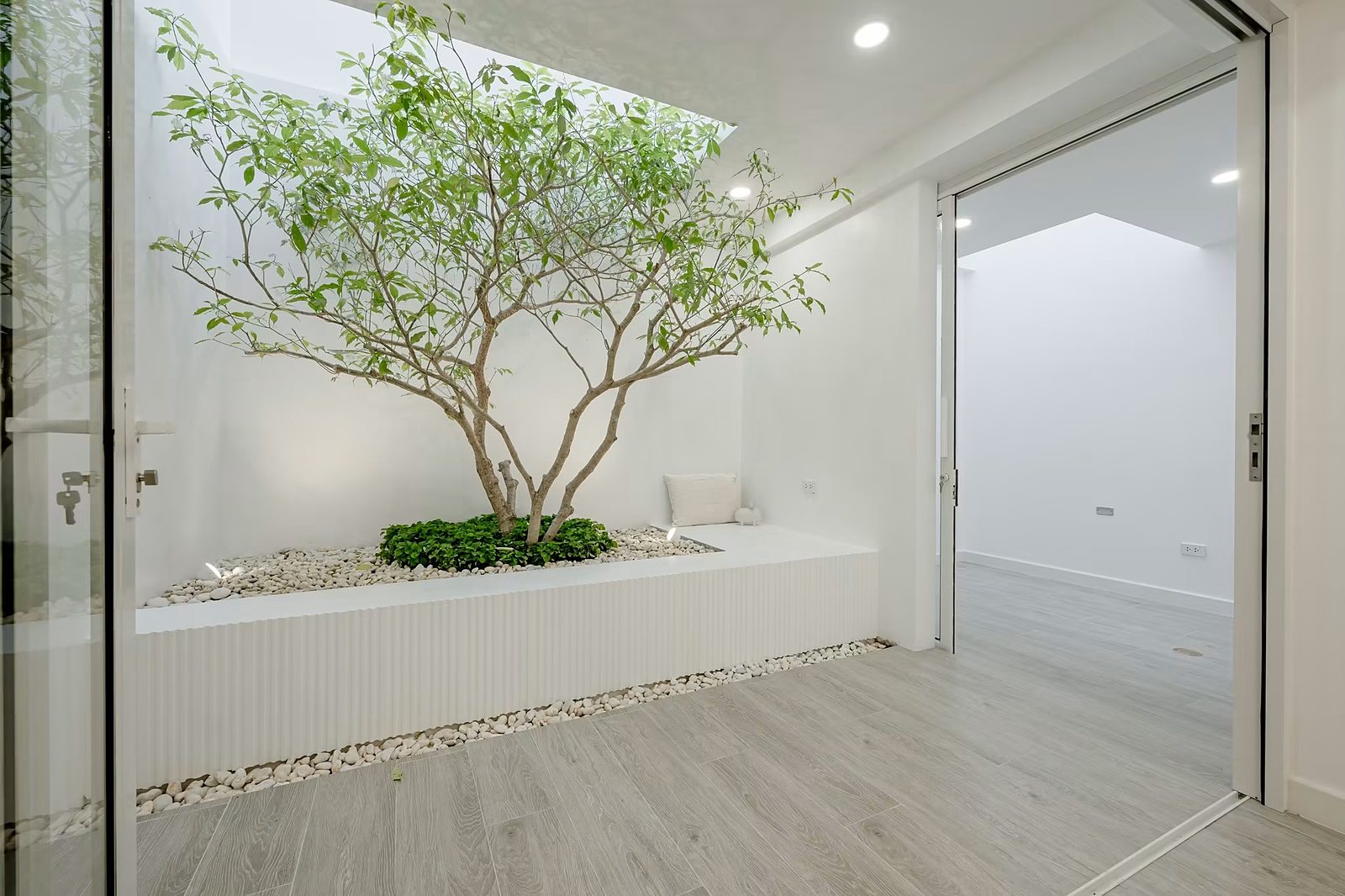 Artiar Pridi–Ekkamai — Pridi Banomyong 42: Courtyard garden