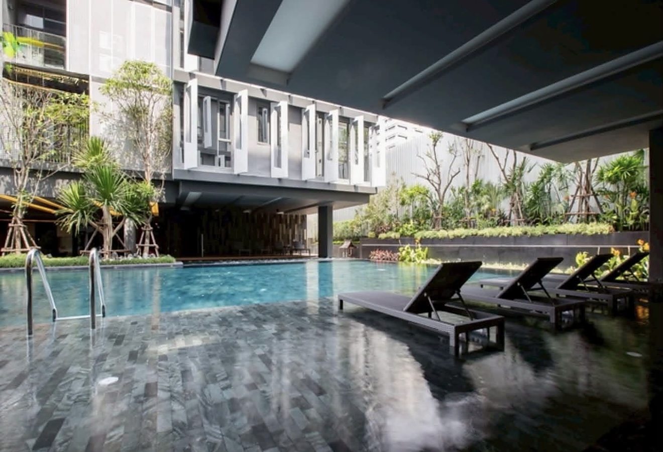 Siamese Gioia: Swimming pool